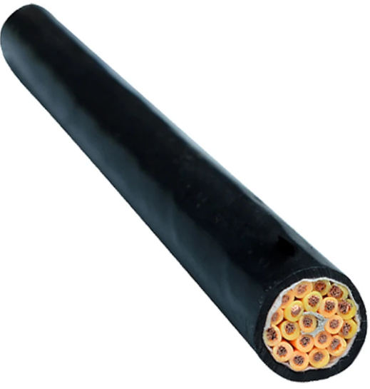 QQ截圖20240319195647